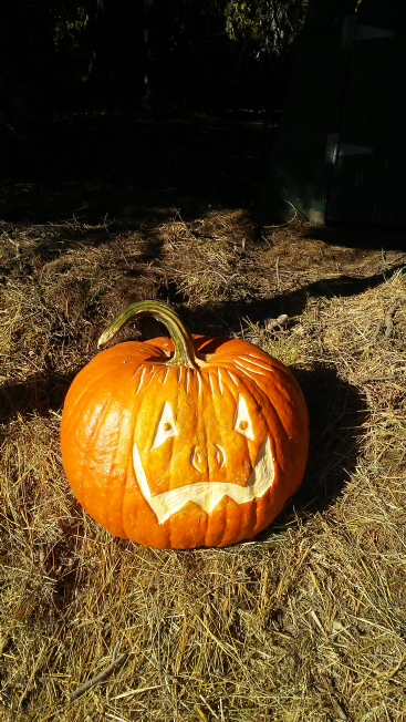 Crazy Smile, Nipomo Pumpkin Patch best carving idea